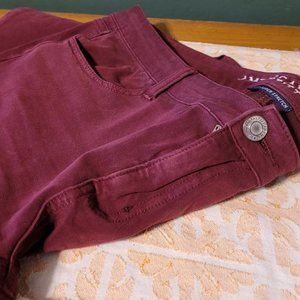 AE Jeggings - Deep Wine Purple